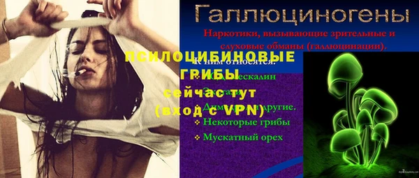 твердый Абаза