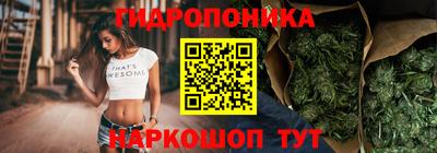 mdpv Краснознаменск